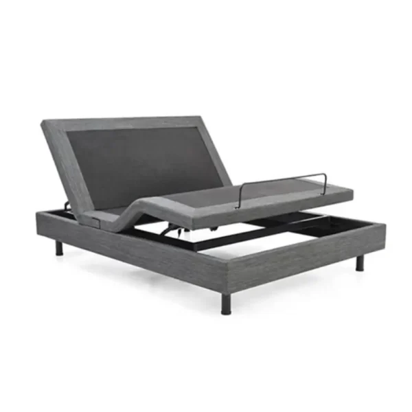Ergomotion Champion T Royal Adjustable Bed