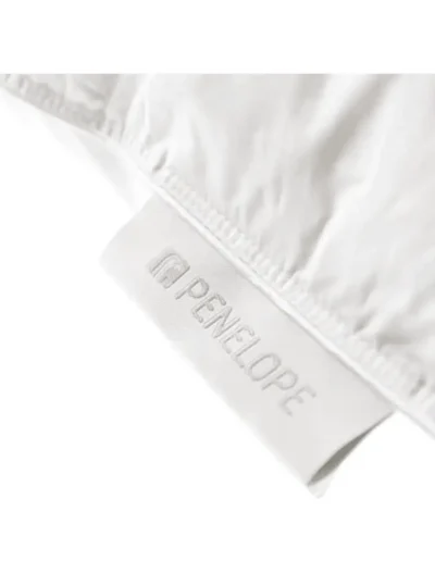 Penelope Bronze Pillow Brand Name