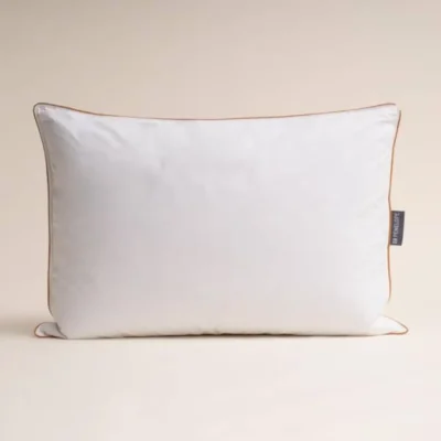 Penelope Bronze Pillow Main
