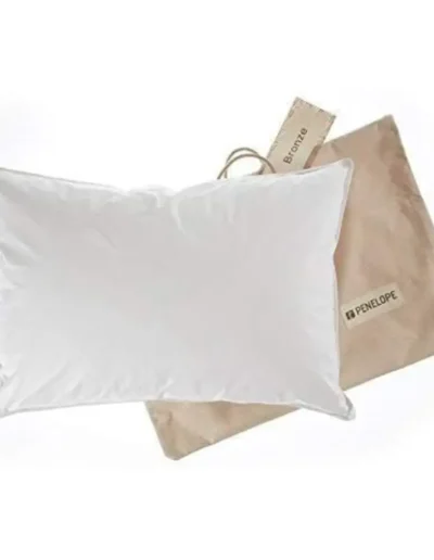 Penelope Bronze Pillow with Cover